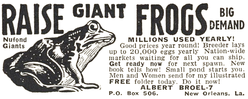 Vintage newspaper ad with a frog drawing. Text: Raise Giant Frogs, big demand, millions used yearly!