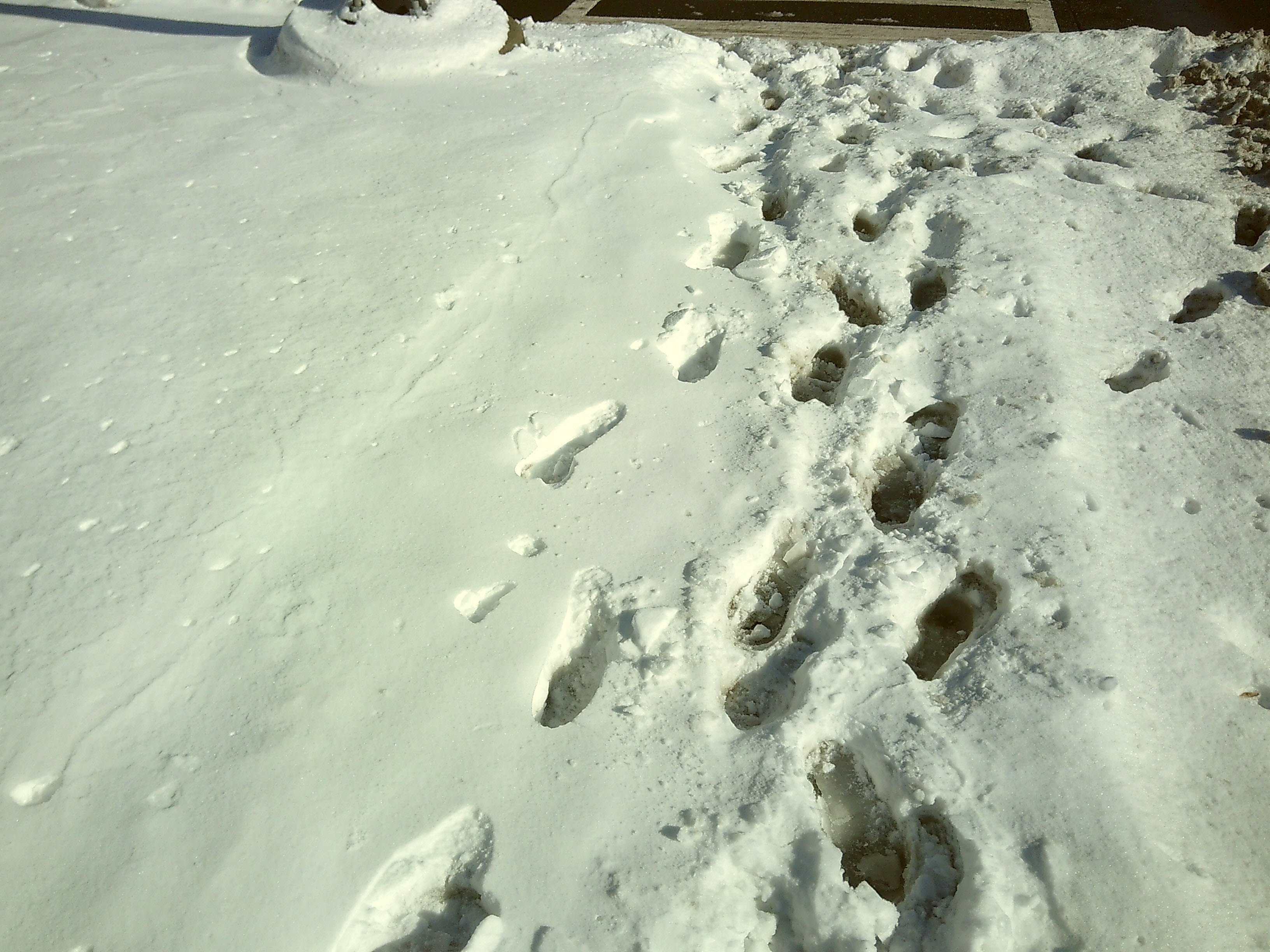 Footprints in a snowy path