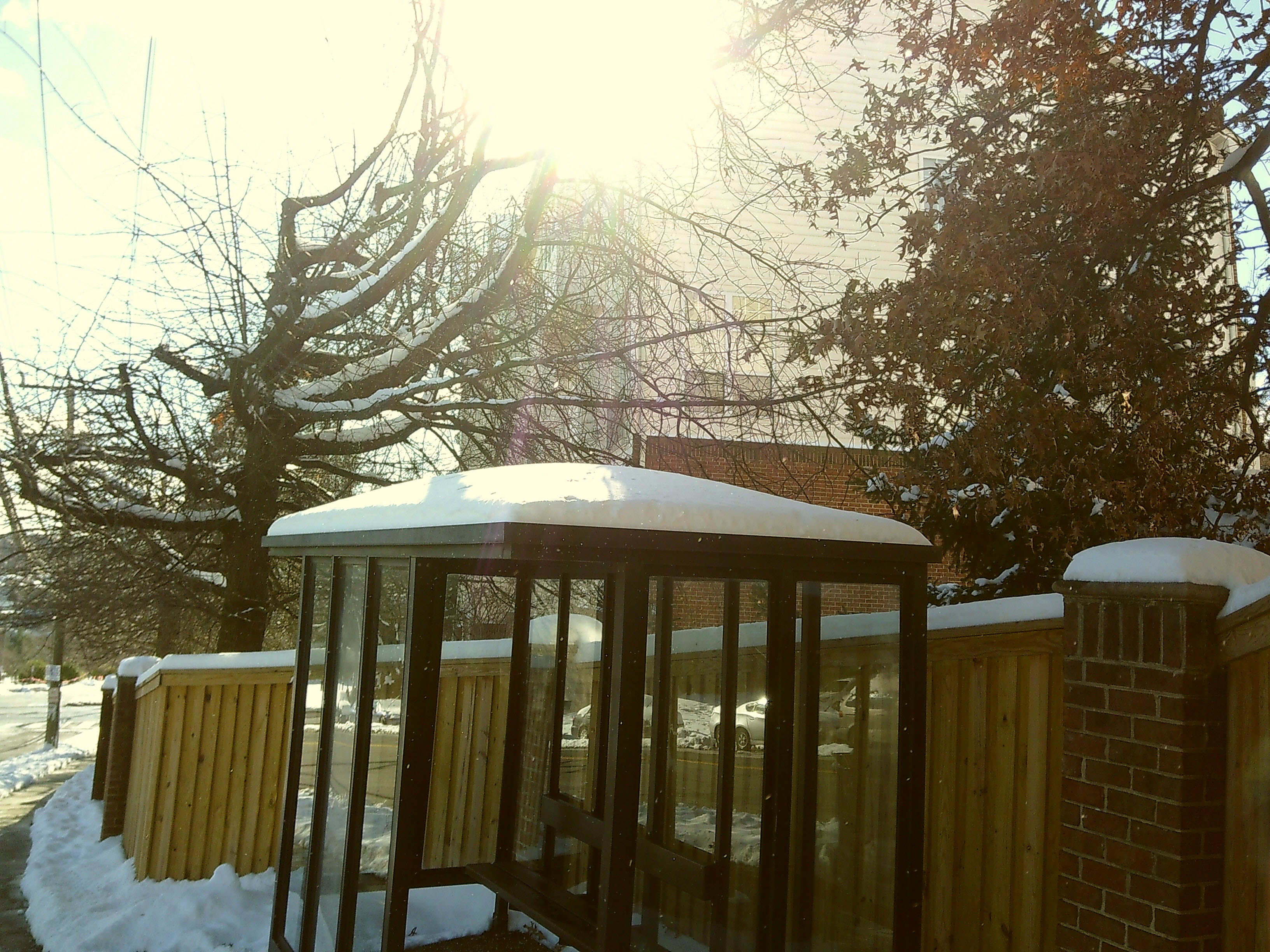 Snow covered bus shelter and tree