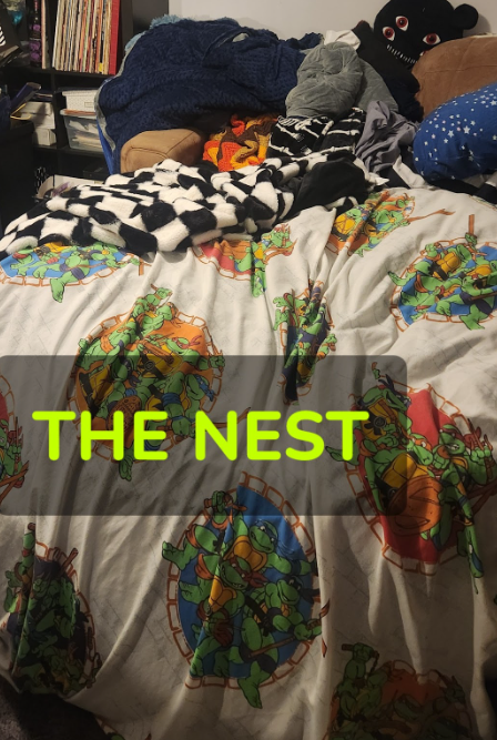 What I affectionately call The Nest - the bean bag chair is covered by a TMNT sheet