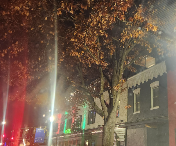 Blurry photo of row homes and a large tree in front of them