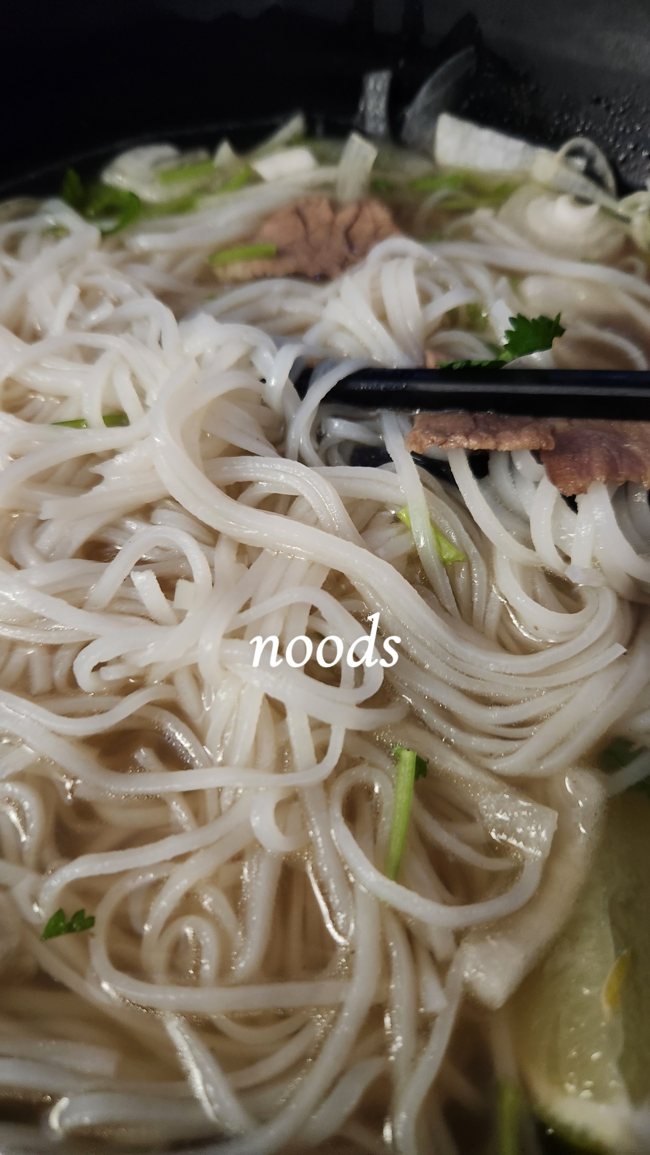 Zoomed-in photo of Pho that says noods