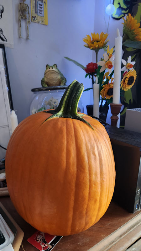 Tall roundish pumpkin sitting in a house