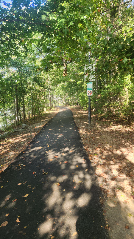 Walking path through a green forest with brown leaves on the ground on either side