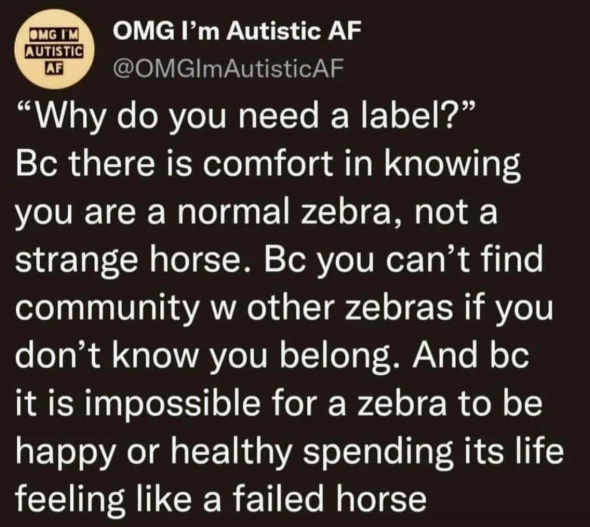 Twitter dark mode screenshot from user @OMGImAutisticAF. The text reads 'Why do you need a label?' Bc there is comfort in knowing you are a normal zebra, not a strange horse. Bc you can't find community w other zebras if you don't know you belong. And bc it is impossible for a zebra to be happy or healthy spending its life feeling like a failed horse